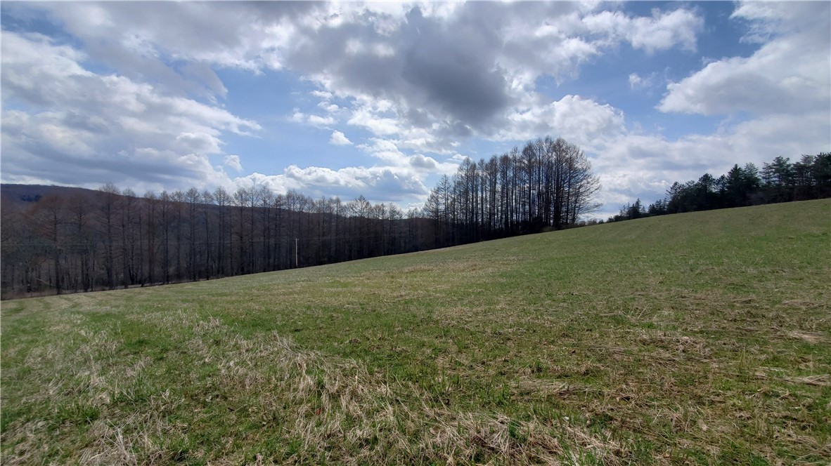 Lot 4 Goddards Road, New Lisbon, New York image 6