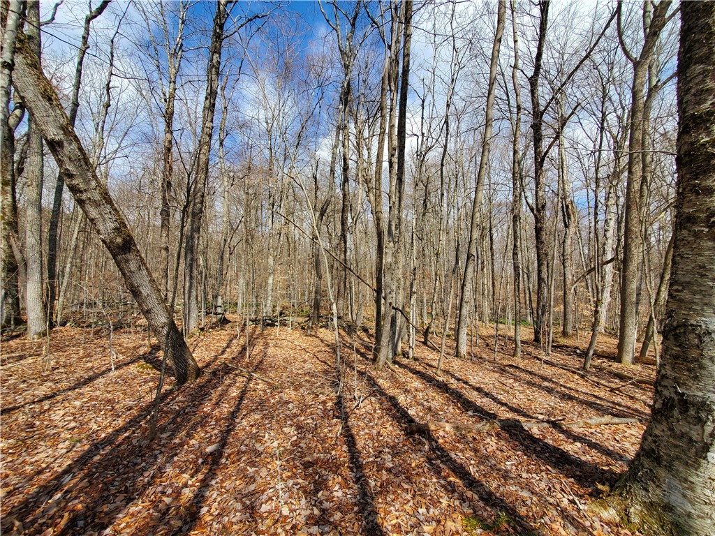 Lot 4 Goddards Road, New Lisbon, New York image 15