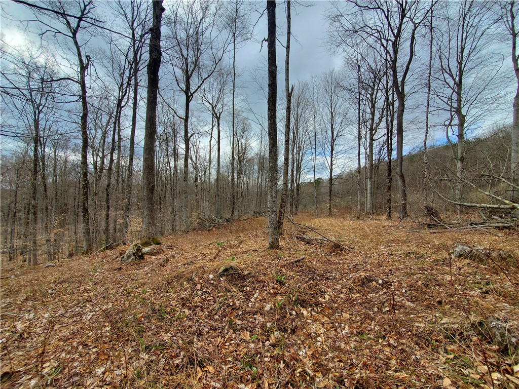 Lot 4 Goddards Road, New Lisbon, New York image 19