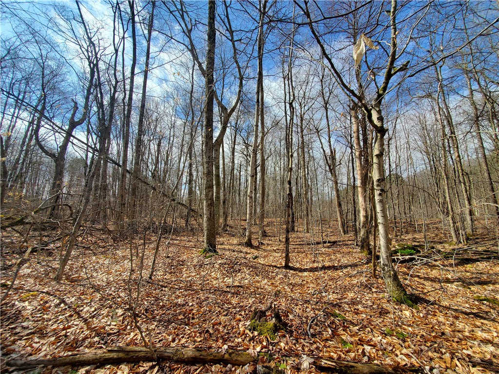 Lot 4 Goddards Road, New Lisbon, New York image 11