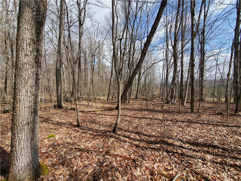 Lot 4 Goddards Road, New Lisbon, New York image 14