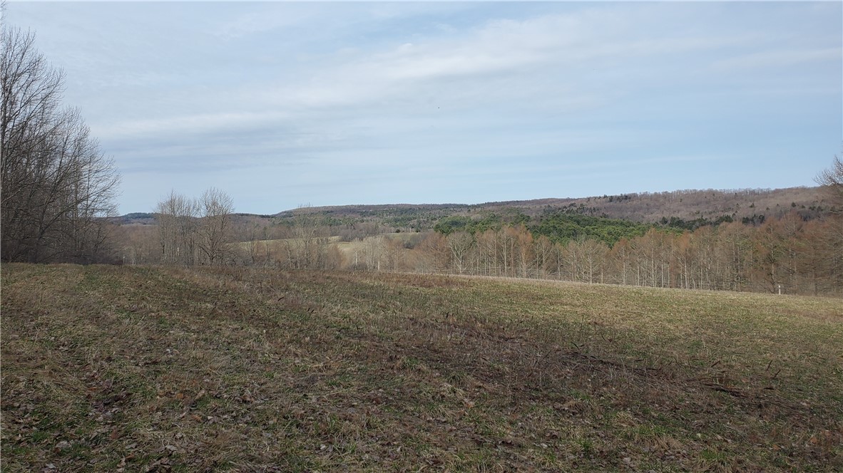 Lot 4 Goddards Road, New Lisbon, New York image 22