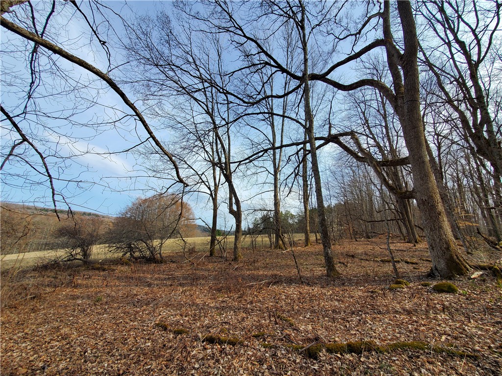 Lot 4 Goddards Road, New Lisbon, New York image 7