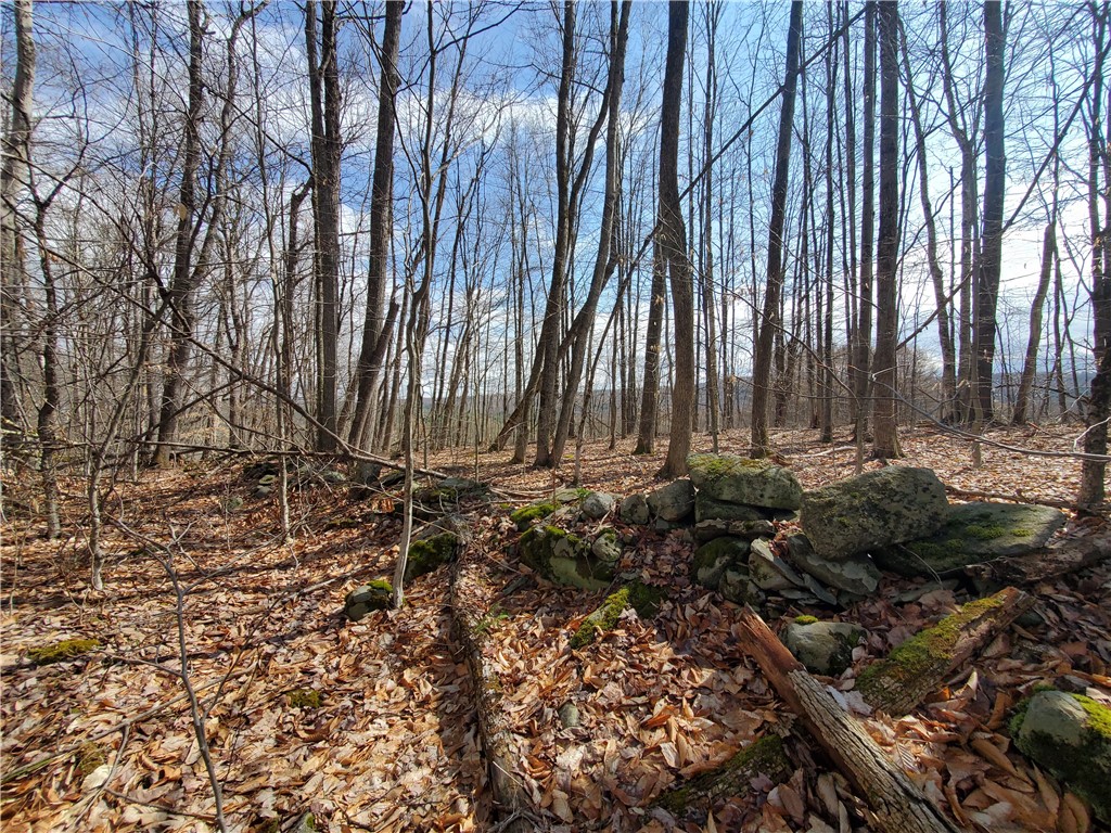 Lot 4 Goddards Road, New Lisbon, New York image 13