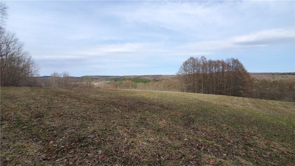 Lot 4 Goddards Road, New Lisbon, New York image 23