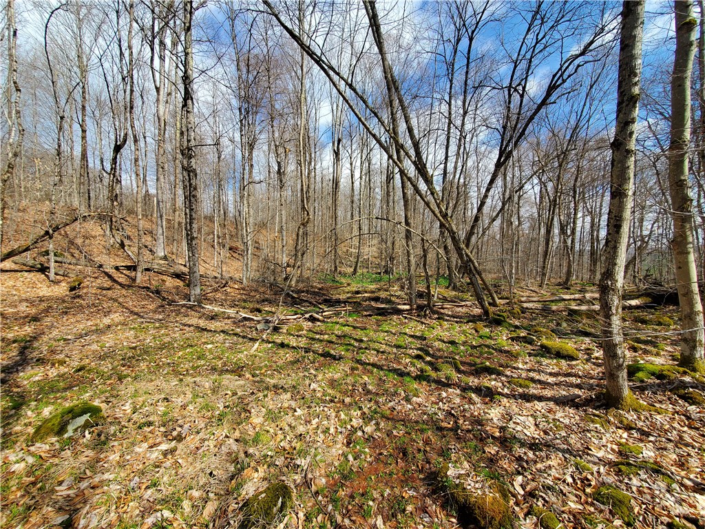 Lot 4 Goddards Road, New Lisbon, New York image 10