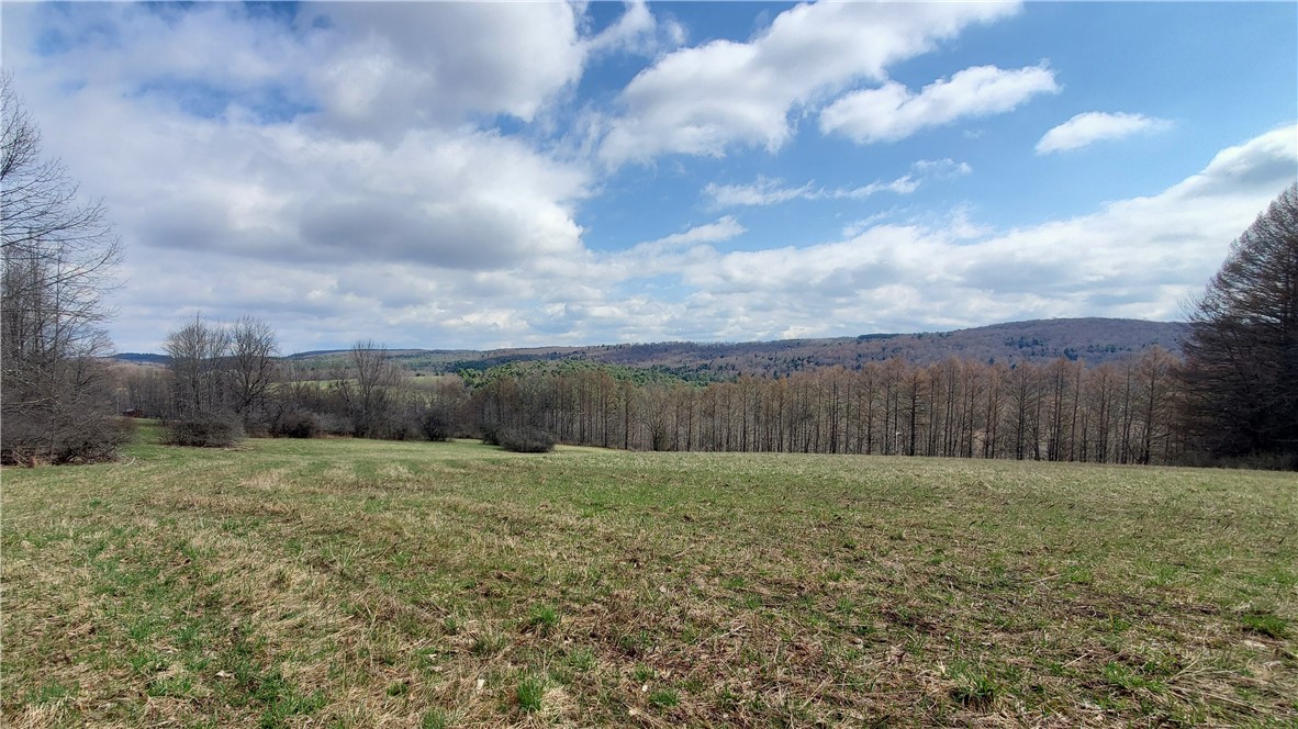 Lot 4 Goddards Road, New Lisbon, New York image 2