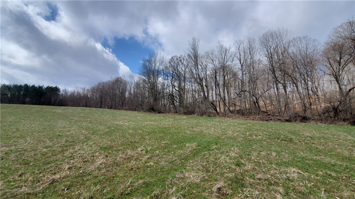 Lot 4 Goddards Road, New Lisbon, New York image 5