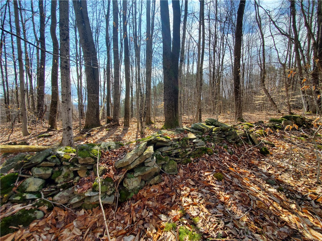 Lot 4 Goddards Road, New Lisbon, New York image 12
