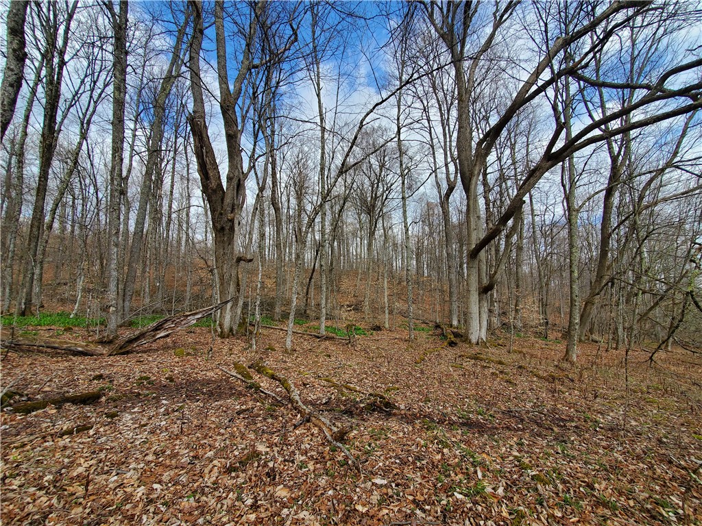 Lot 4 Goddards Road, New Lisbon, New York image 16