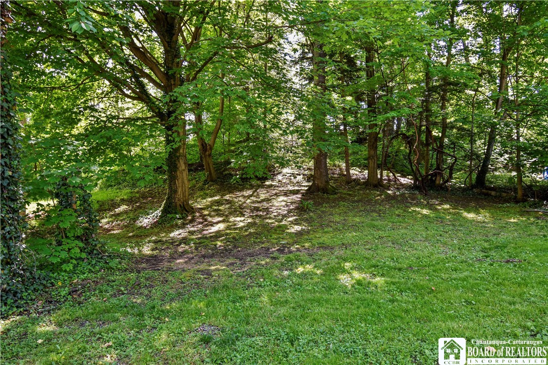 8 Terrace Street, Westfield, New York image 2