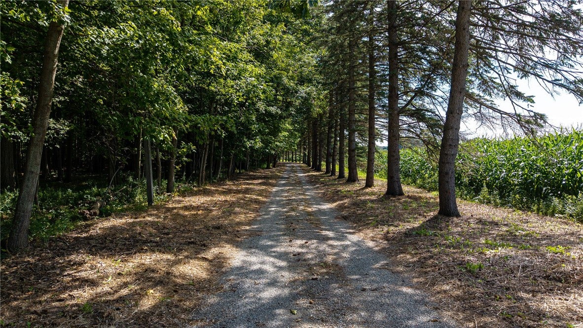 60 Mendon Center Road
