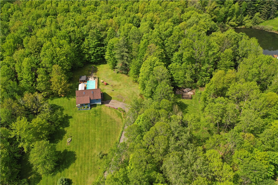 3259 Freer Hollow Road, Franklin, New York image 47