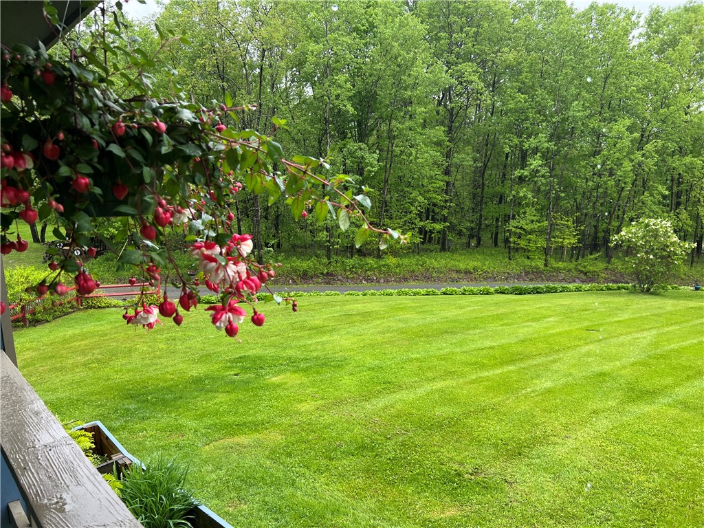 3259 Freer Hollow Road, Franklin, New York image 45
