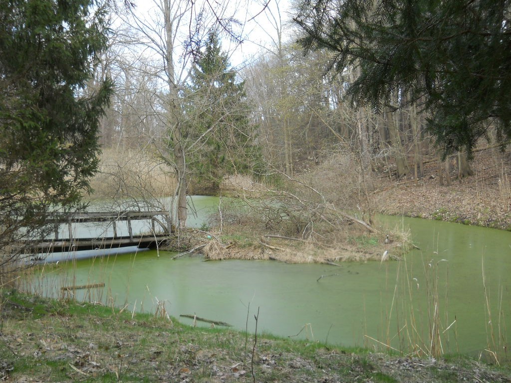 Pinegrove Avenue, Irondequoit, New York image 2