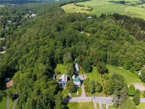 Vacant Land For Sale - Prospect Street<br/> Stamford, NY 12167