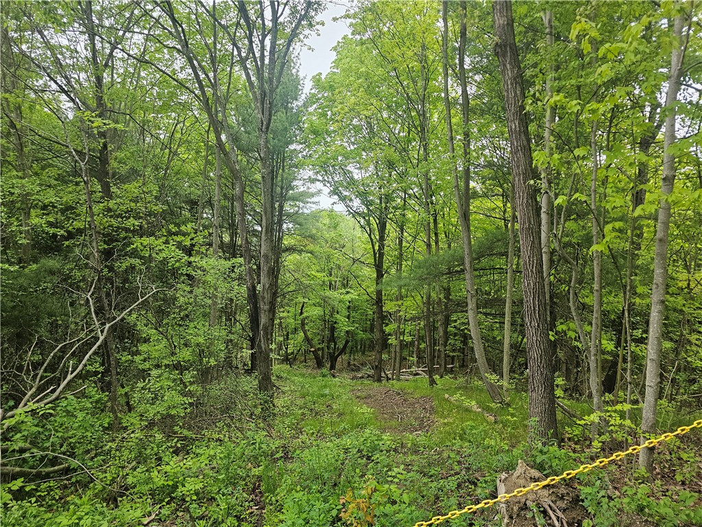 2049 State Route 245