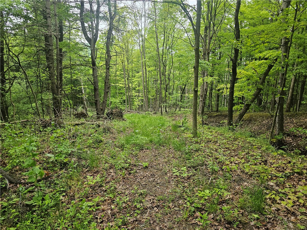 2049 State Route 245