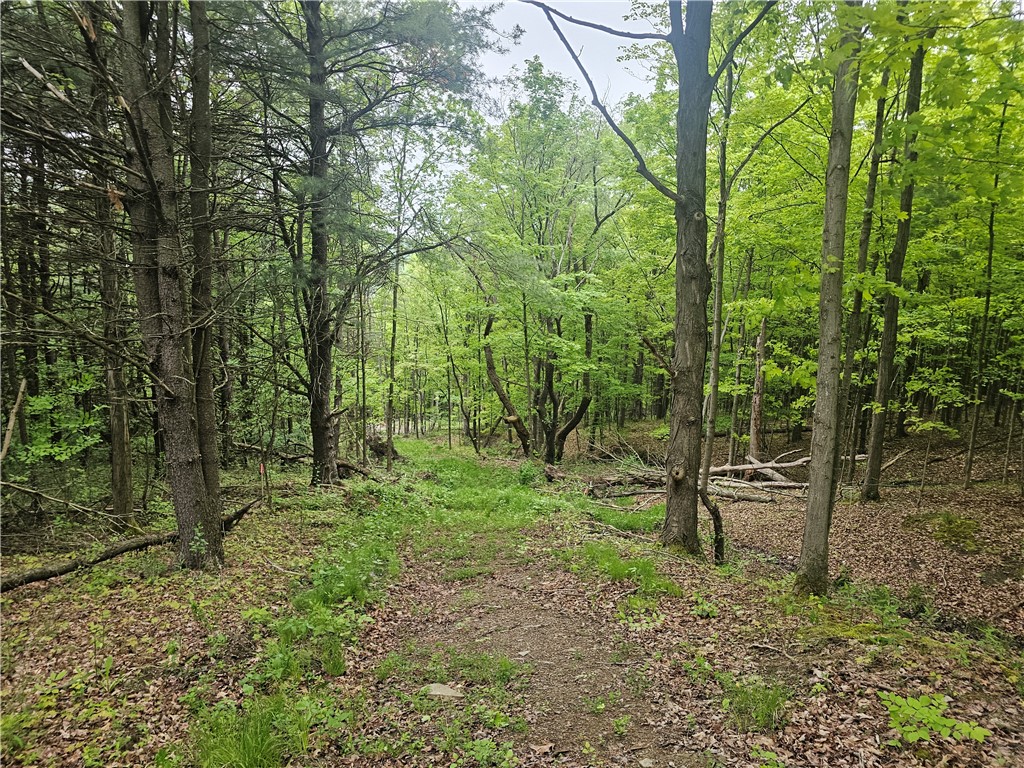 2049 State Route 245