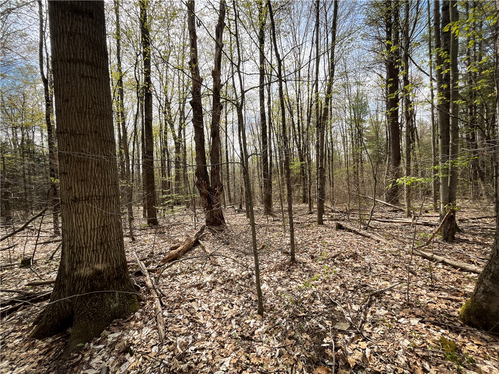 W Creek Road, Richford, New York image 19