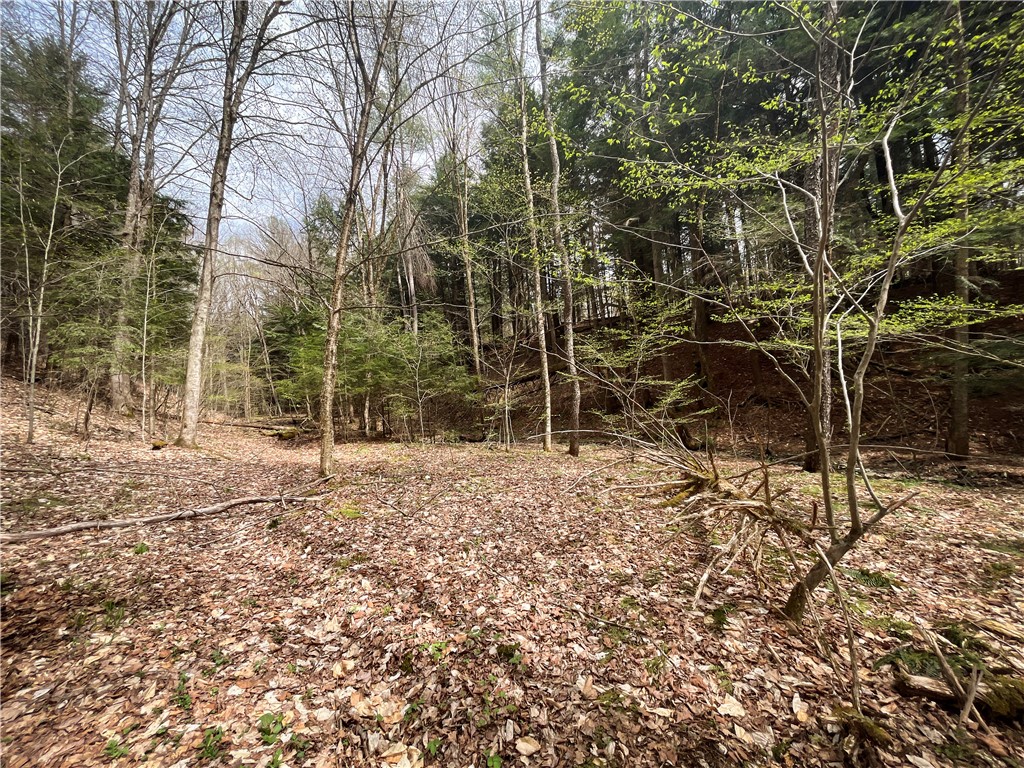 W Creek Road, Richford, New York image 34