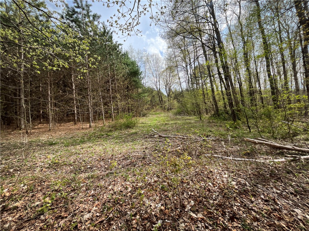 W Creek Road, Richford, New York image 22