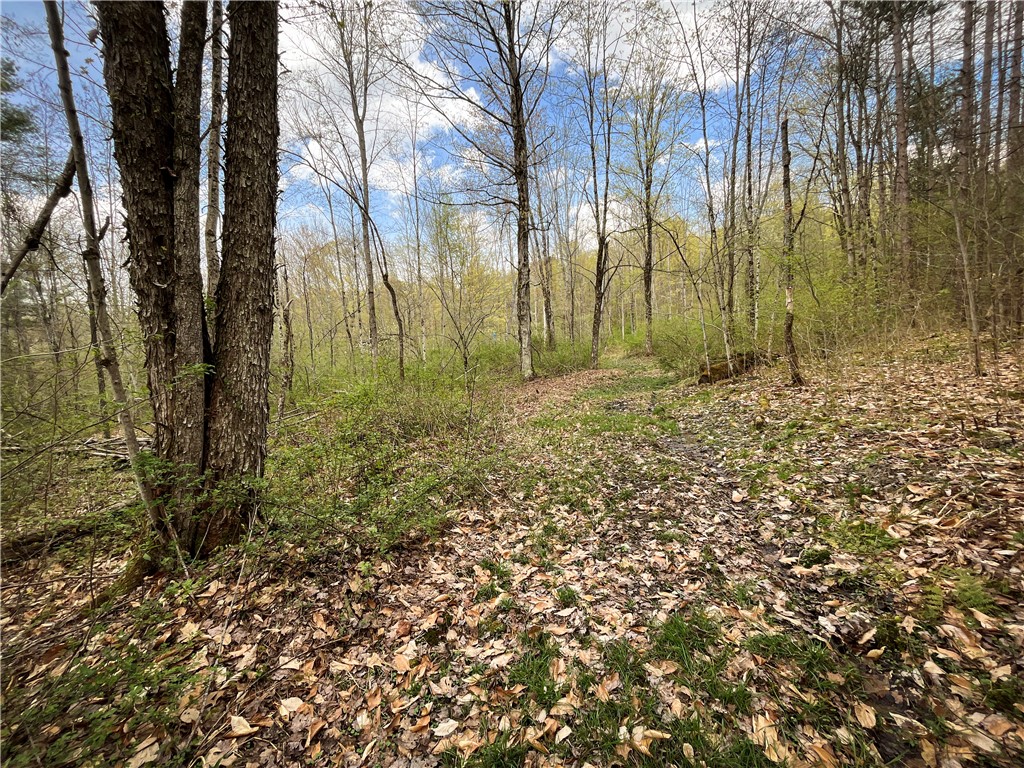 W Creek Road, Richford, New York image 7