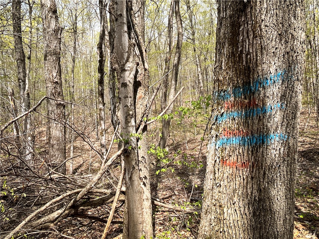 W Creek Road, Richford, New York image 18