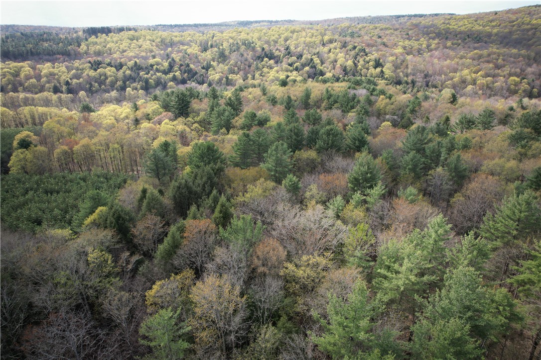 W Creek Road, Richford, New York image 16