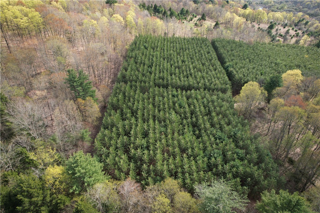 W Creek Road, Richford, New York image 37