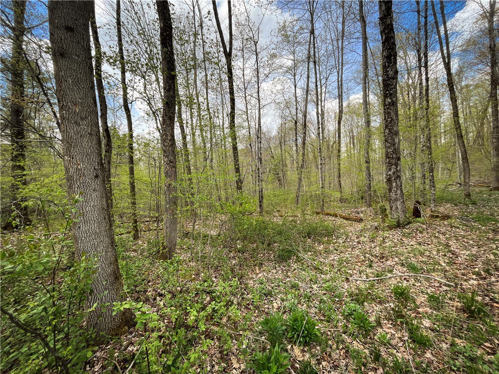 W Creek Road, Richford, New York image 36