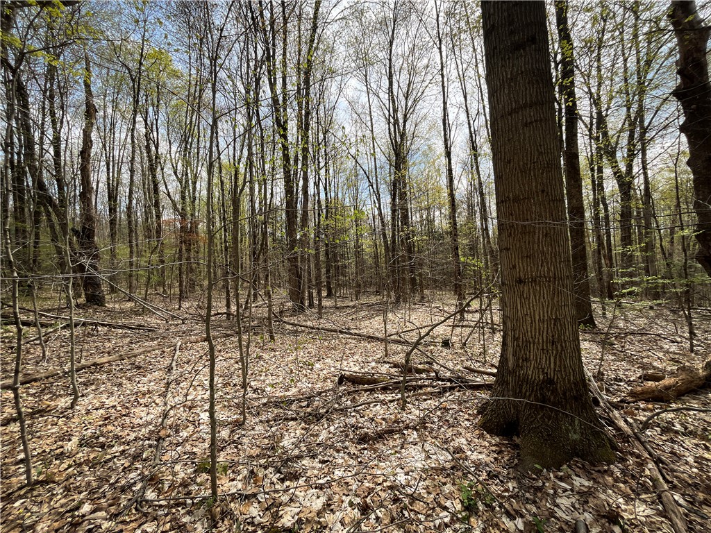 W Creek Road, Richford, New York image 31