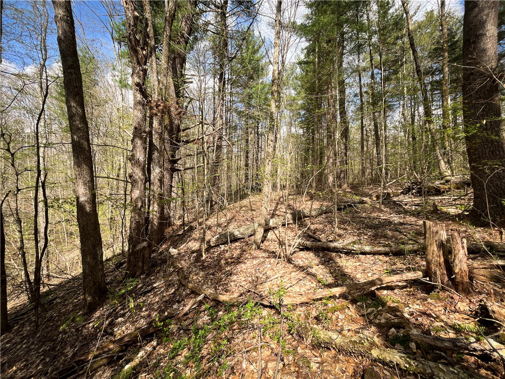 W Creek Road, Richford, New York image 38