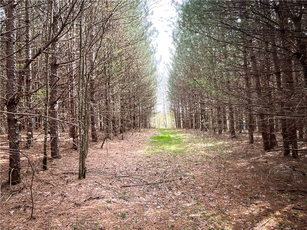 W Creek Road, Richford, New York image 1