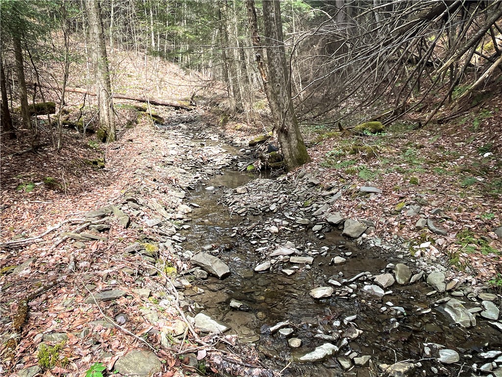 W Creek Road, Richford, New York image 33