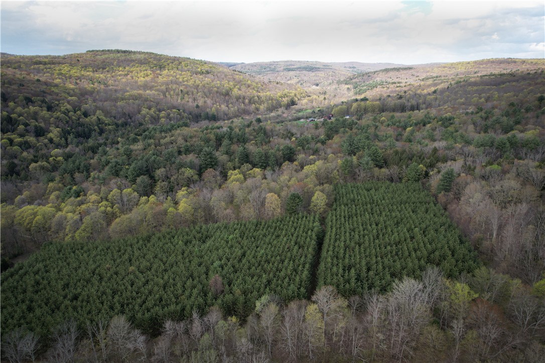 W Creek Road, Richford, New York image 4