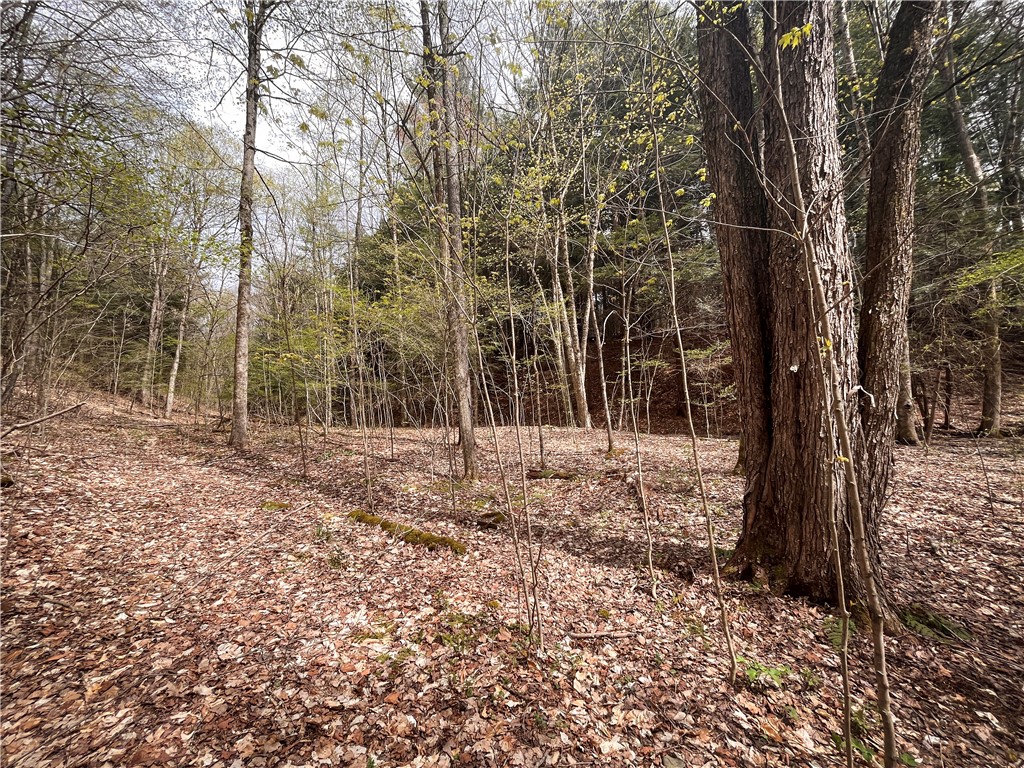 W Creek Road, Richford, New York image 35