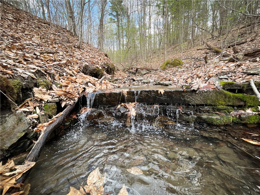 W Creek Road, Richford, New York image 2