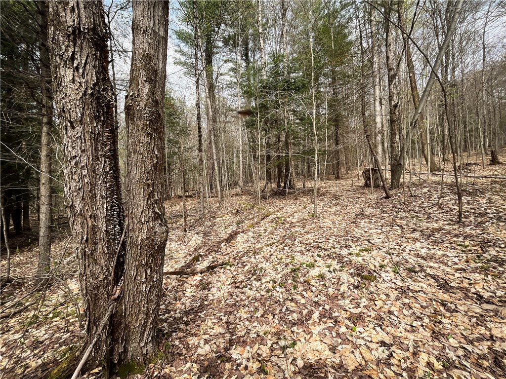 W Creek Road, Richford, New York image 32