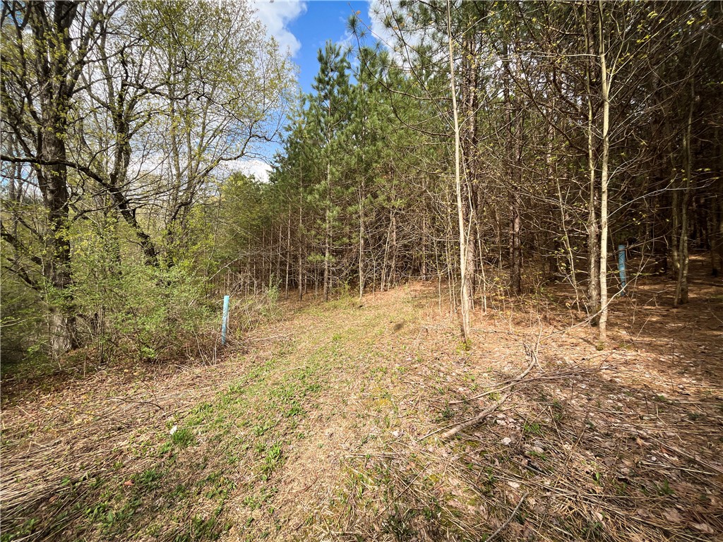 W Creek Road, Richford, New York image 24