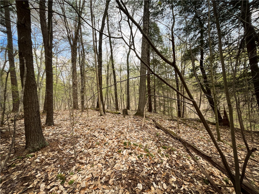 W Creek Road, Richford, New York image 12