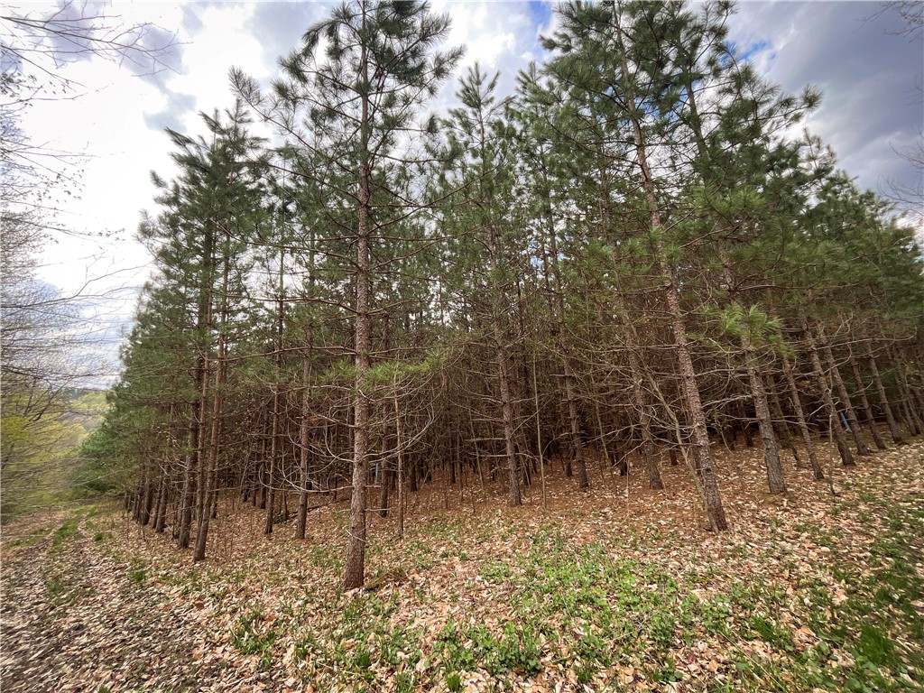 W Creek Road, Richford, New York image 26