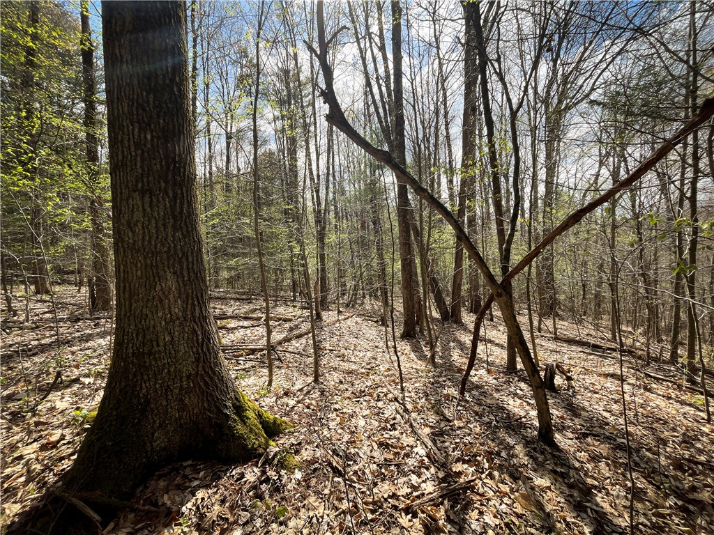 W Creek Road, Richford, New York image 30