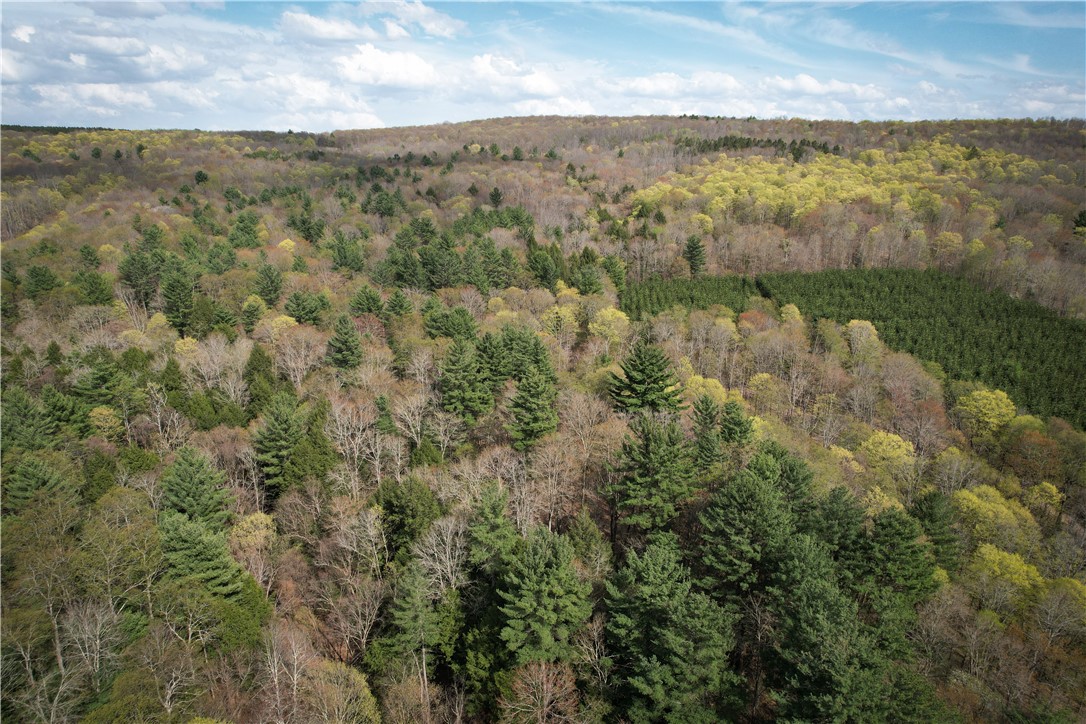 W Creek Road, Richford, New York image 13