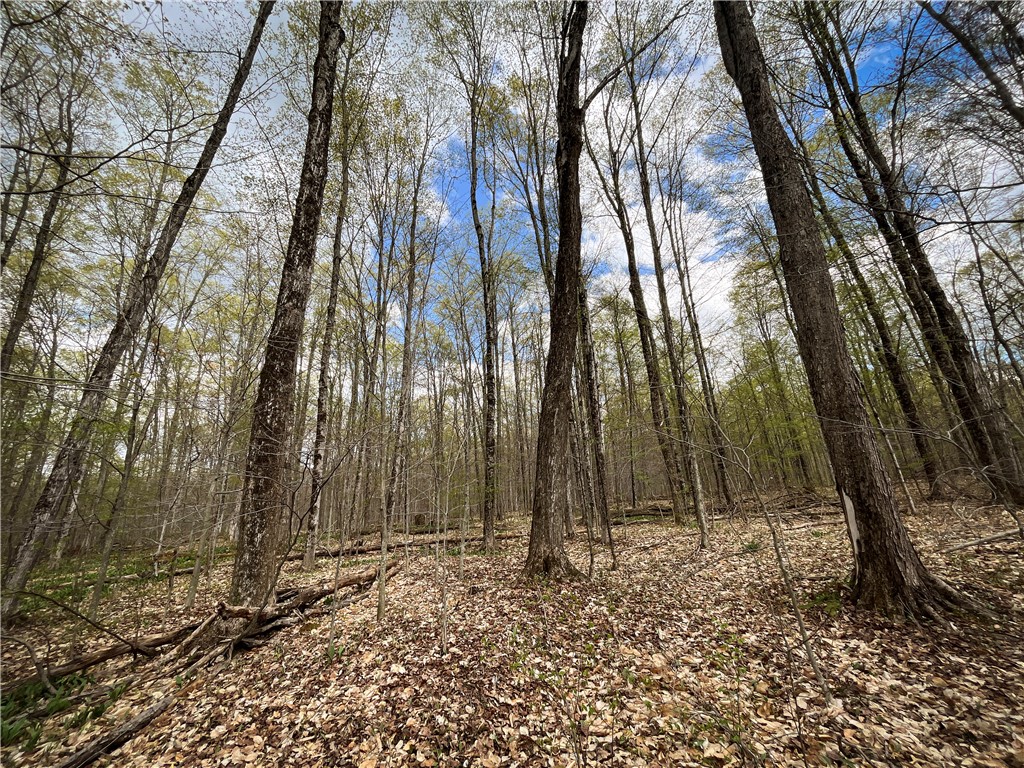 W Creek Road, Richford, New York image 5