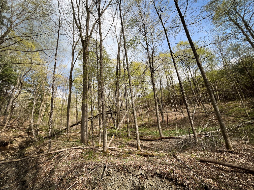 W Creek Road, Richford, New York image 11