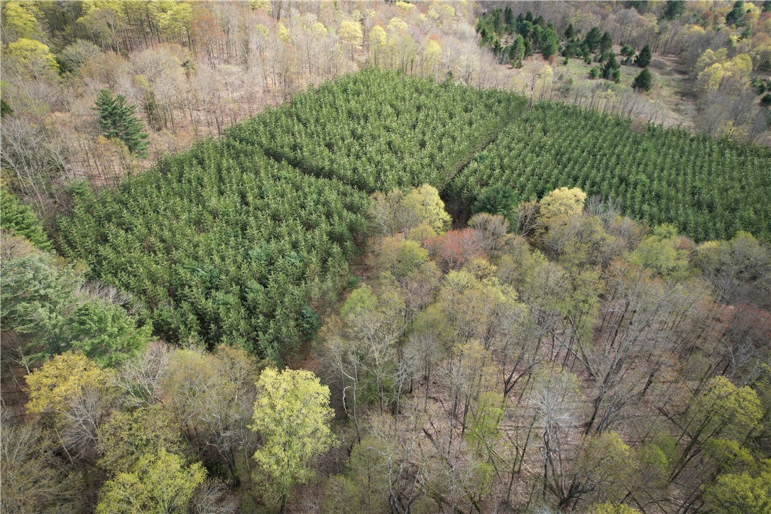 W Creek Road, Richford, New York image 14