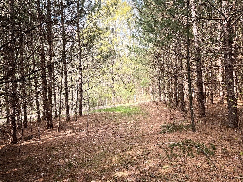 W Creek Road, Richford, New York image 25