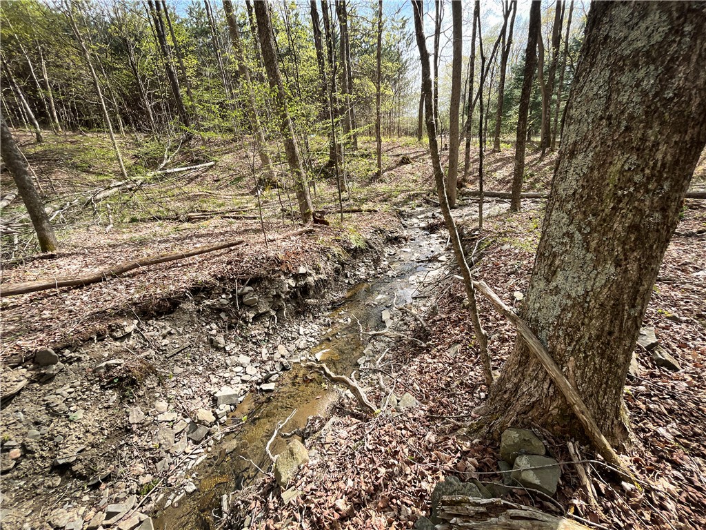 W Creek Road, Richford, New York image 10