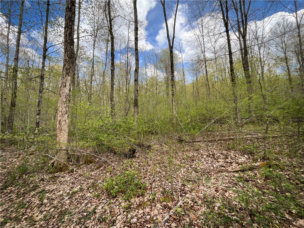 W Creek Road, Richford, New York image 29